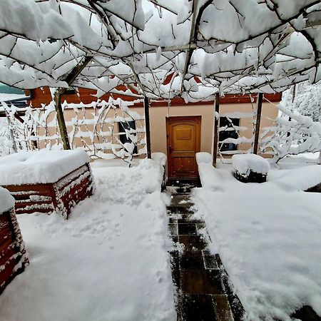 Vineyard Cottage Matej Trebnje Dış mekan fotoğraf