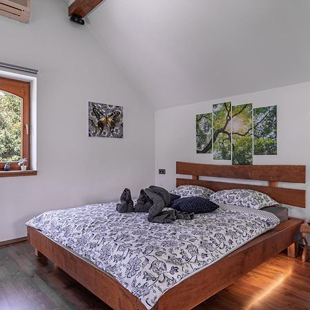 Vineyard Cottage Matej Trebnje Dış mekan fotoğraf
