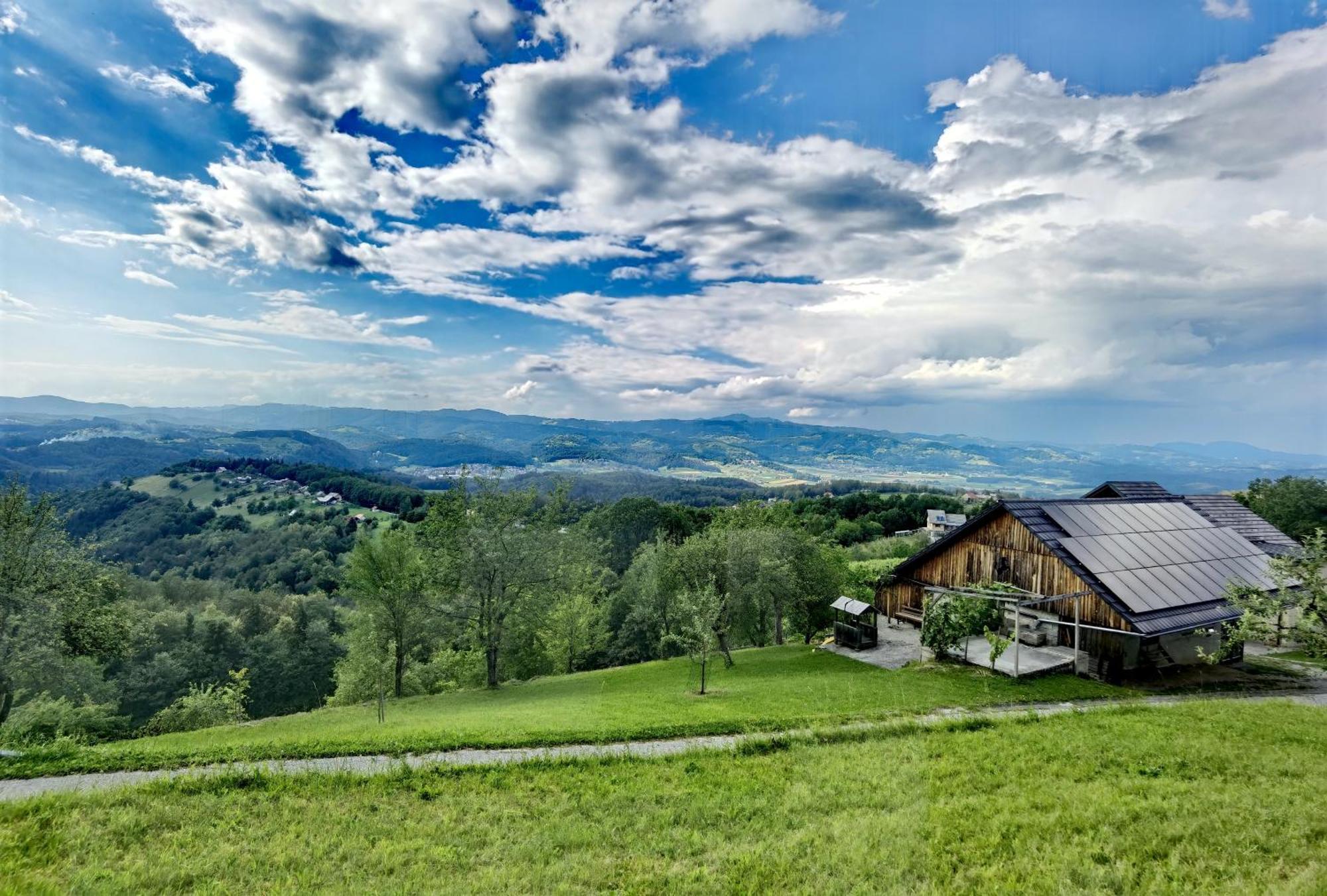Vineyard Cottage Matej Trebnje Dış mekan fotoğraf
