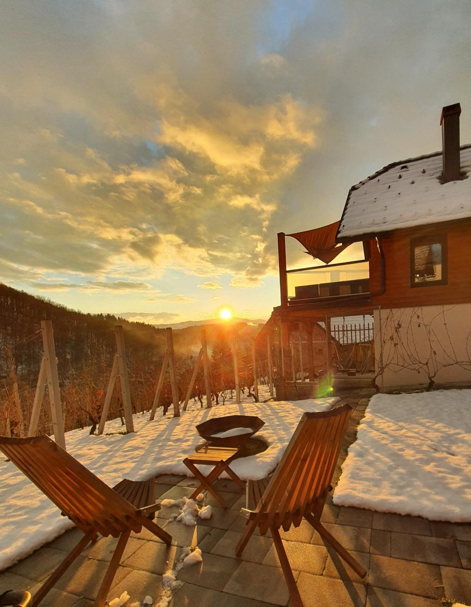 Vineyard Cottage Matej Trebnje Dış mekan fotoğraf
