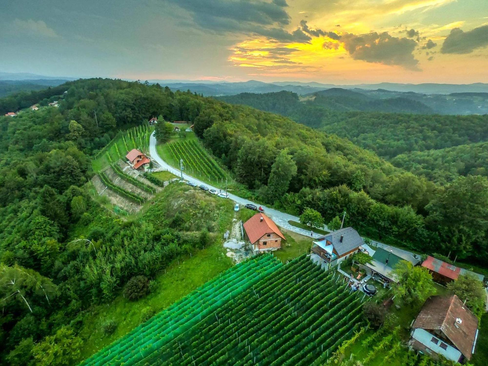Vineyard Cottage Matej Trebnje Dış mekan fotoğraf